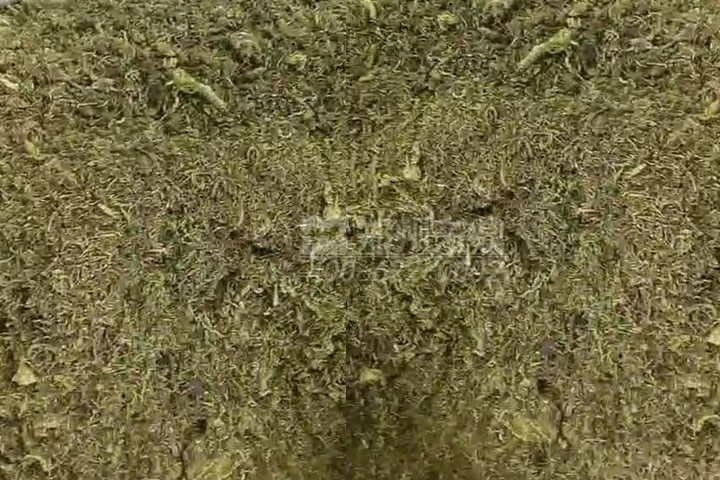 牧草烘干機如何科學選型？牧草烘干過程中營養(yǎng)成分會流失嗎