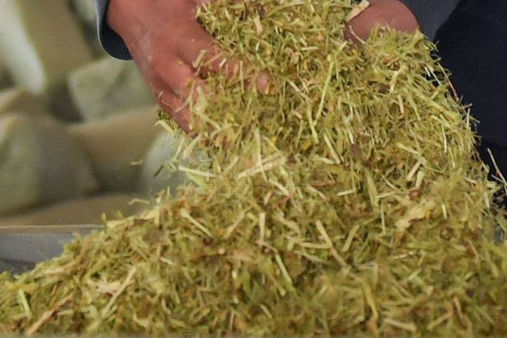 生物質(zhì)烘干機(jī)廠家鄭州東鼎干燥開(kāi)發(fā)了大型檸條烘干機(jī)成套設(shè)備，實(shí)現(xiàn)了檸條資源規(guī)?；弥?。